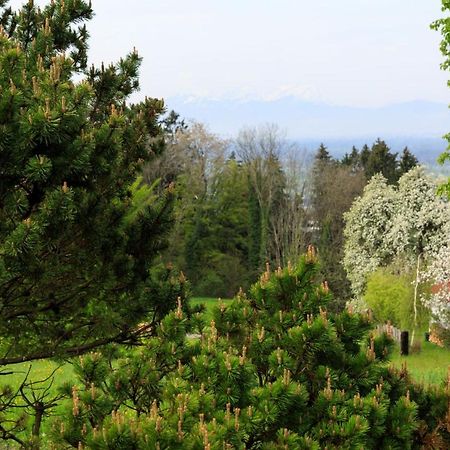 Business Apartment Schwarzach Bagian luar foto