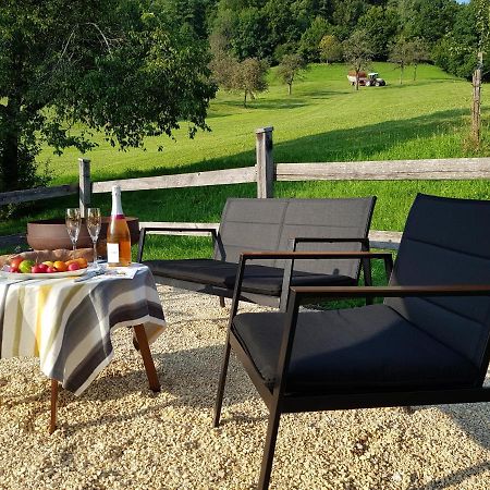 Business Apartment Schwarzach Bagian luar foto