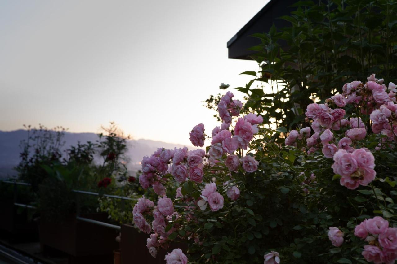 Business Apartment Schwarzach Bagian luar foto