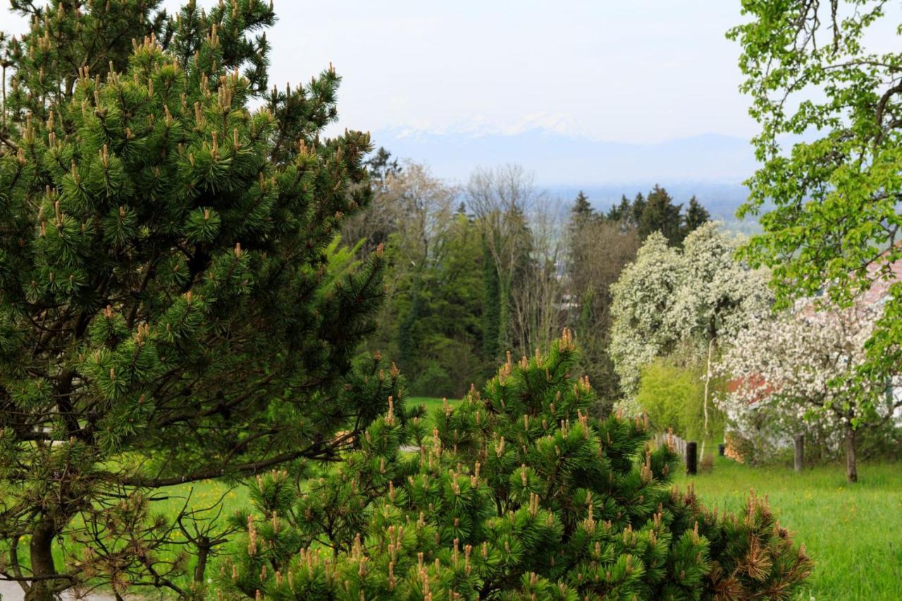 Business Apartment Schwarzach Bagian luar foto